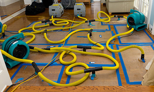 Professional Crawl Space Water Removal technician working in Purcell, MO